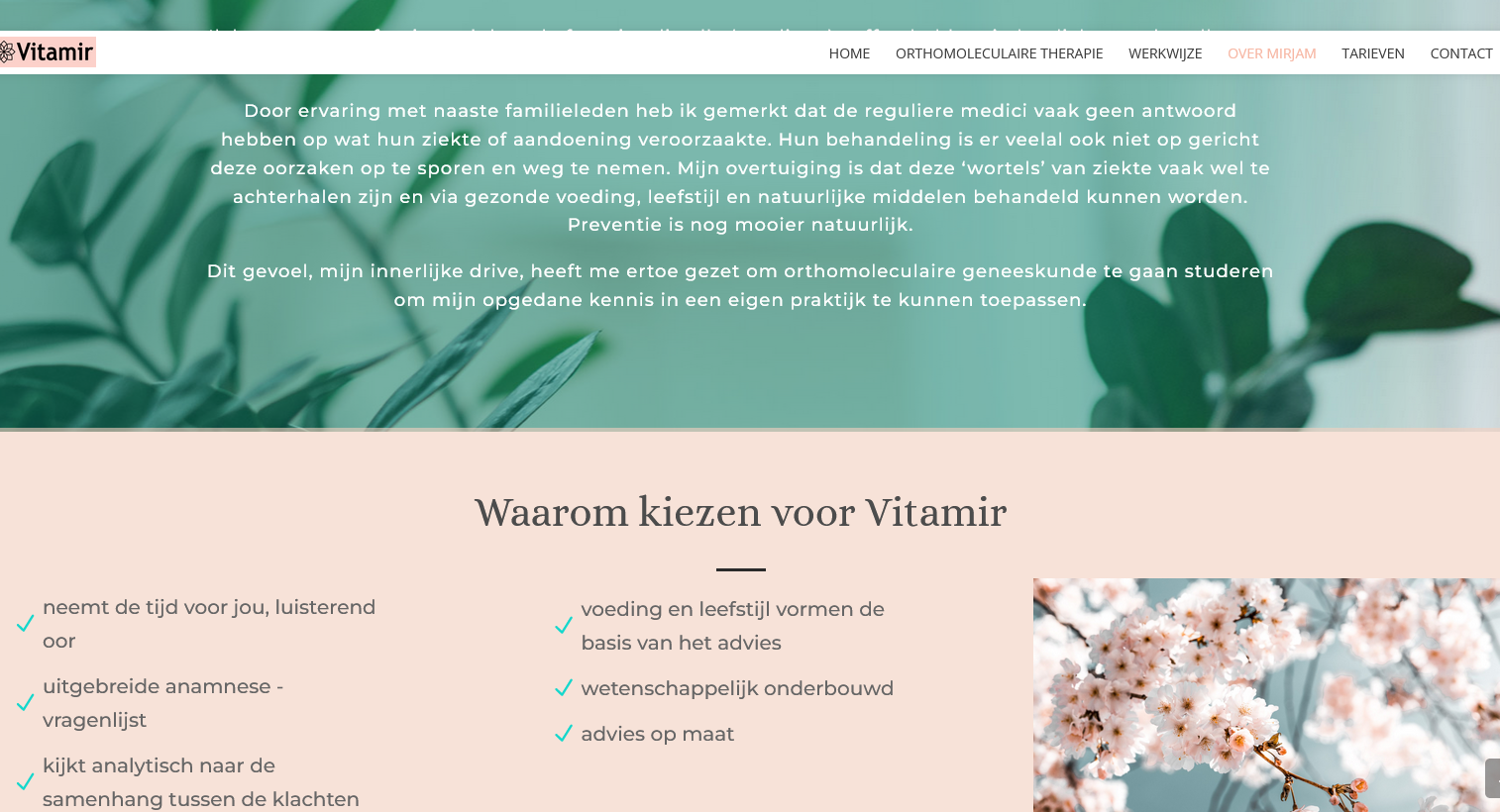 Orthomoleculair Therapy Vitamir