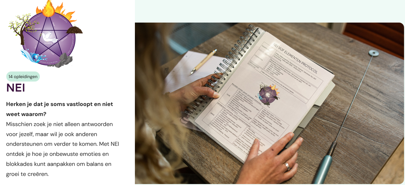 NEI Therapists (and Education)